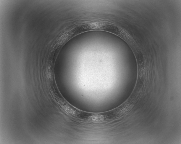 X0000052580317200507081735