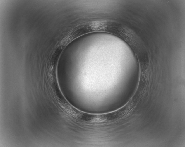 X0000052580319200507081735
