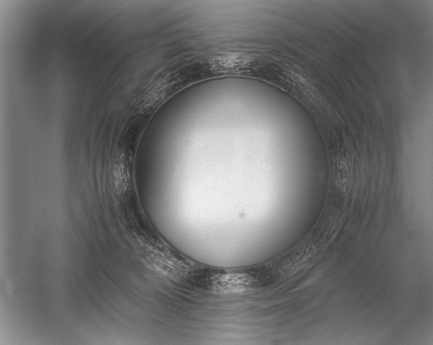 X0000052580324200507081734