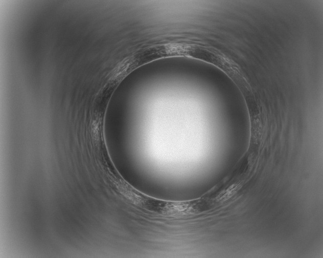 X0000052580329200507081734