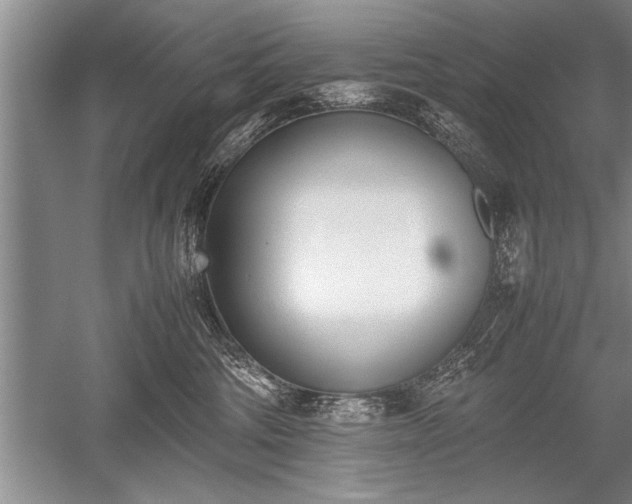 X0000052580330200507081734