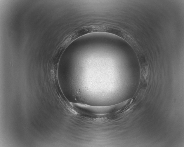 X0000052580333200507081734