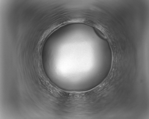 X0000052580337200507081733