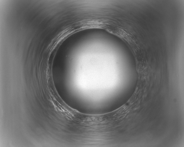 X0000052580338200507081733