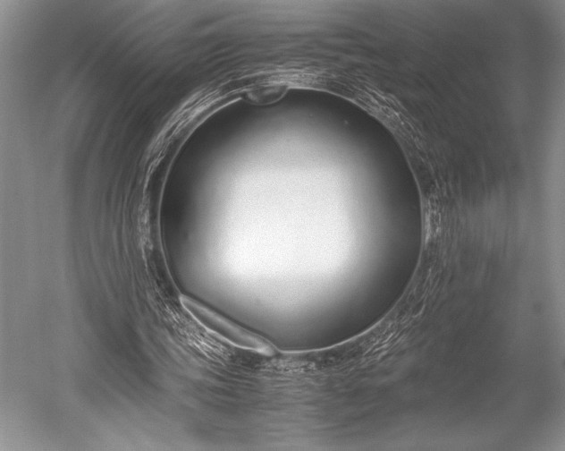 X0000052580339200507081734