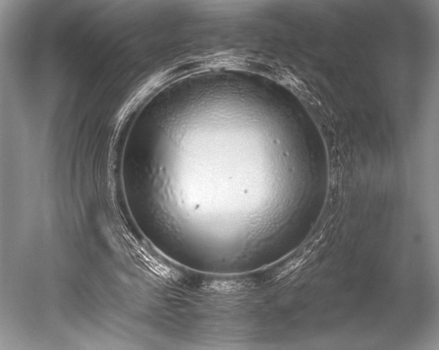 X0000052580341200507081734