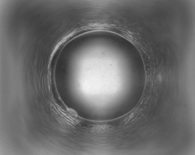 X0000052580342200507081734