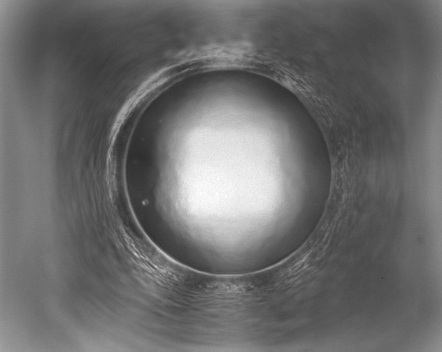 X0000052580343200507081734