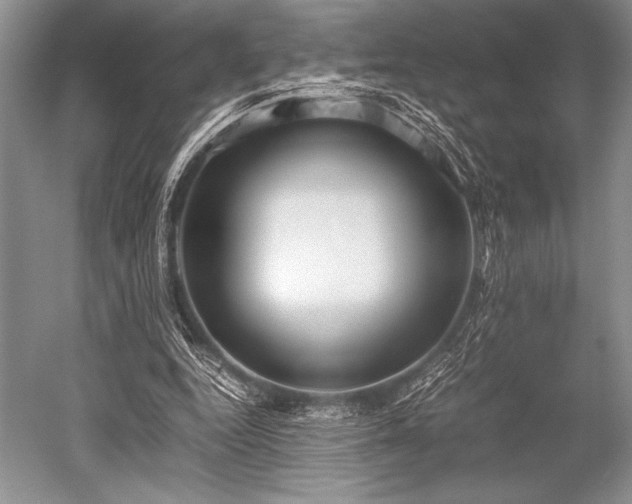 X0000052580344200507081734