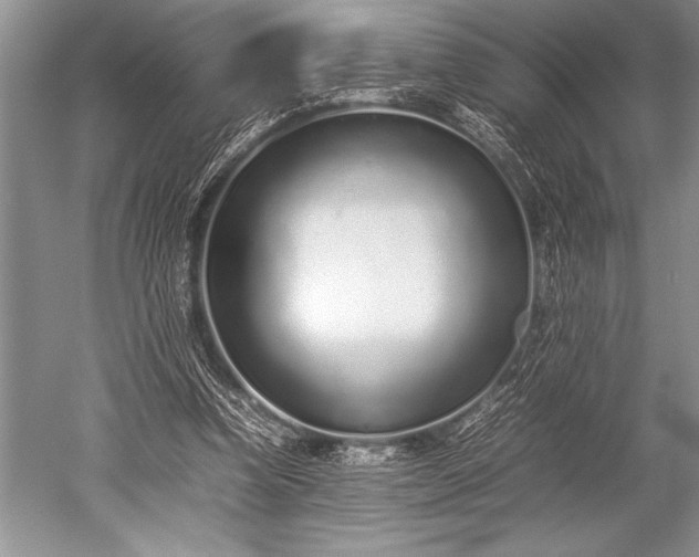X0000052580346200507081734