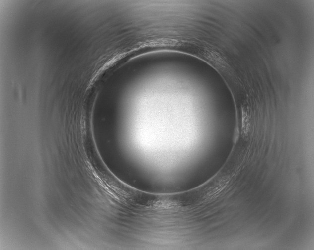 X0000052580348200507081734