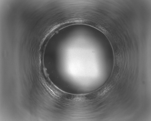 X0000052580350200507081734