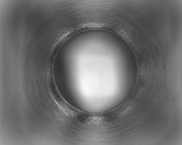 X0000052580352200507081734