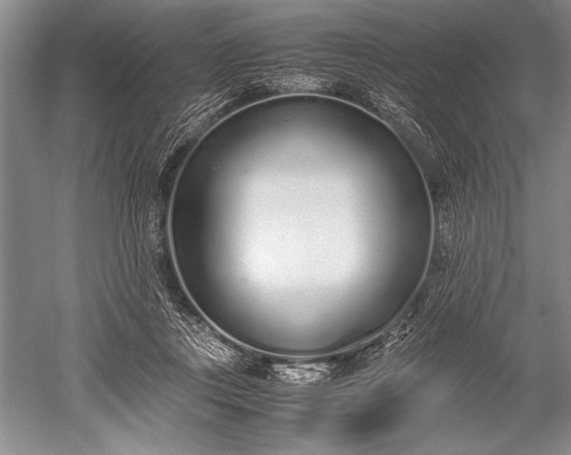 X0000052580359200507081734