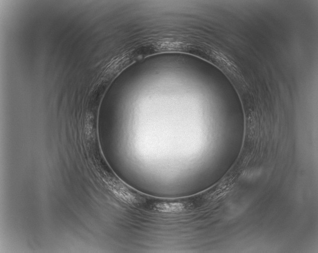 X0000052580361200507081734