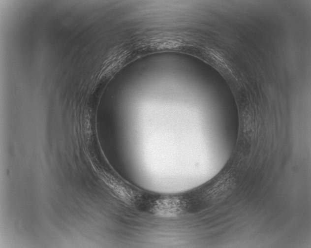 X0000052580362200507081734