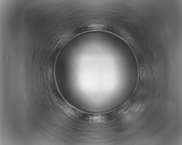 X0000052580365200507081734