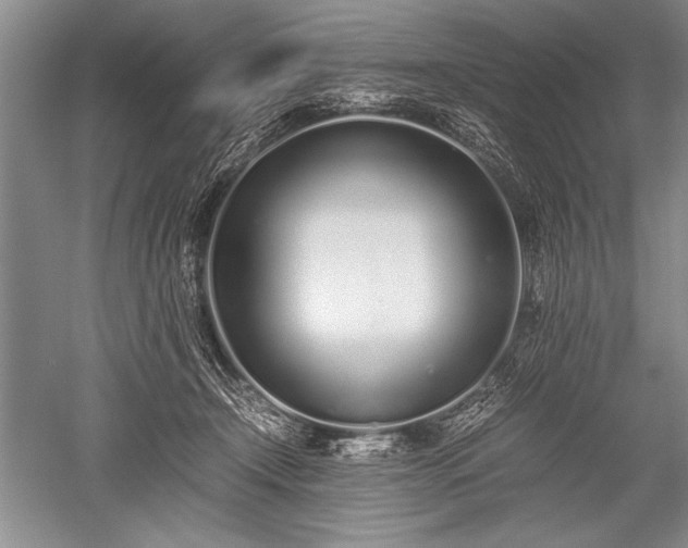 X0000052580366200507081734