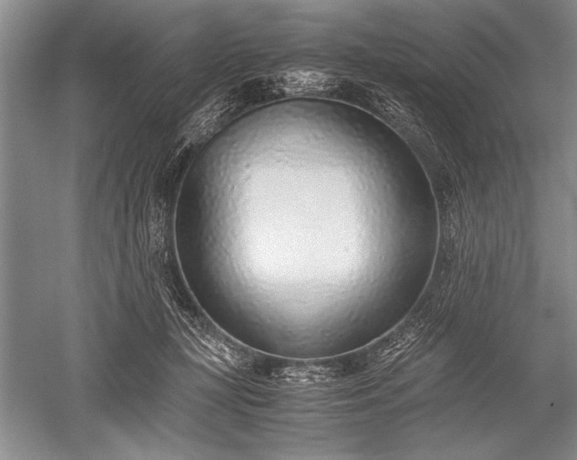 X0000052580367200507081734