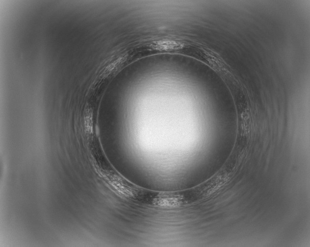 X0000052580368200507081734