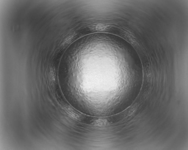 X0000052580374200507081734