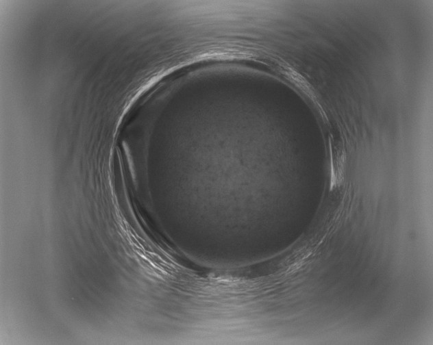 X0000052580387200507081733