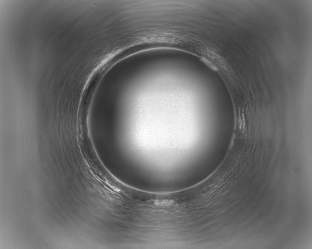 X0000052580388200507081733