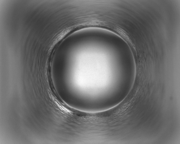 X0000052580389200507081733