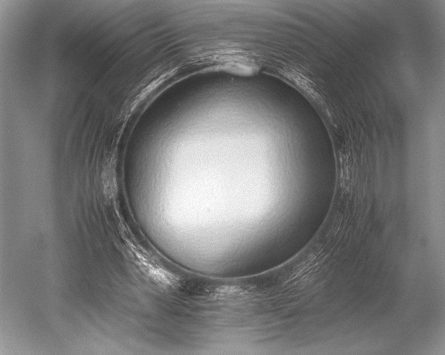 X0000052580390200507081733