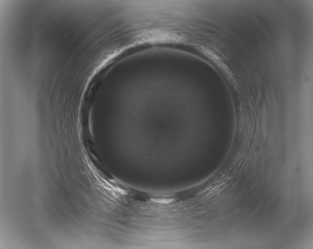 X0000052580391200507081733