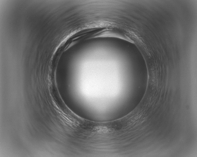 X0000052580392200507081733