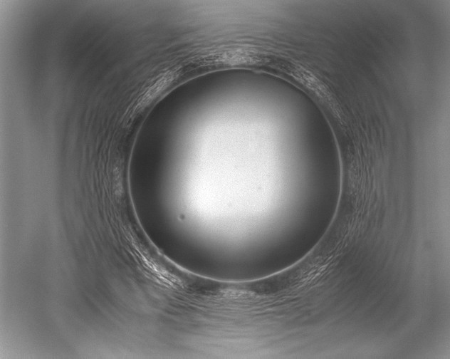 X0000052580393200507081733