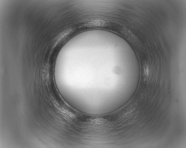 X0000052580396200507081733