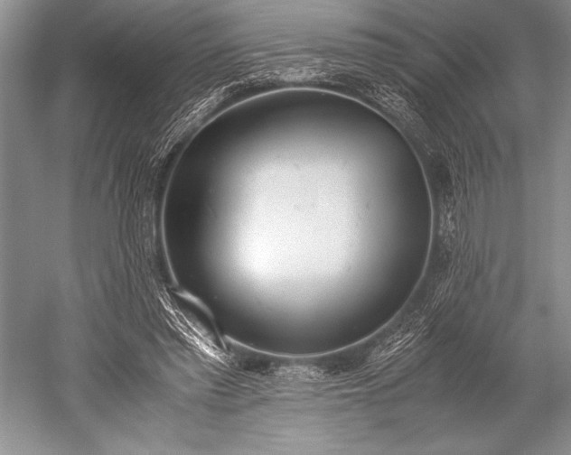 X0000052580397200507081733