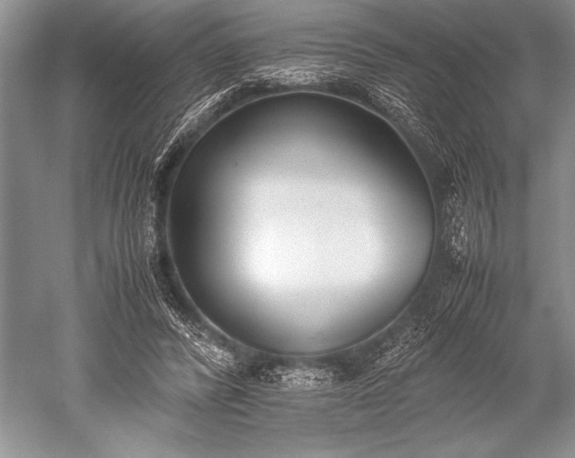 X0000052580400200507081733