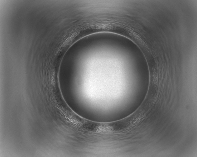 X0000052580403200507081733