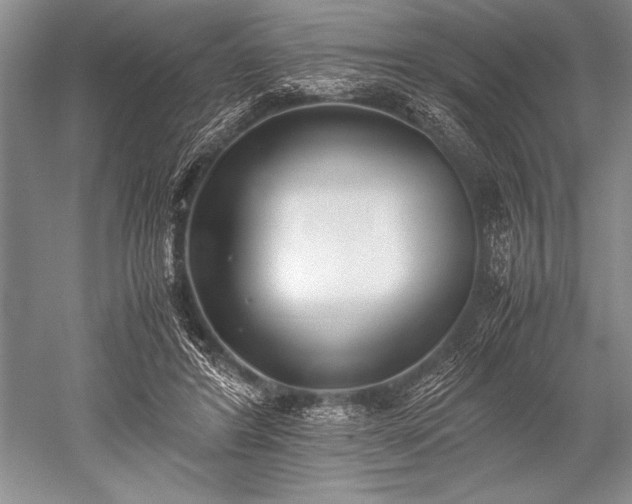 X0000052580404200507081733