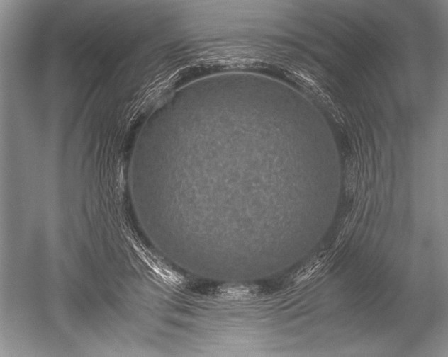 X0000052580405200507081733