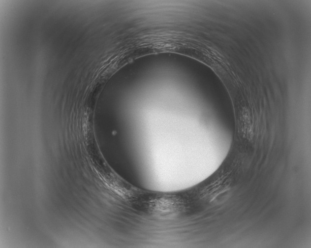 X0000052580412200507081733