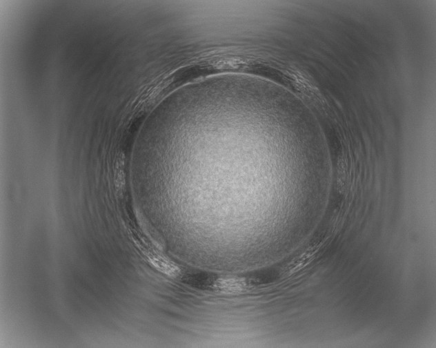 X0000052580413200507081733
