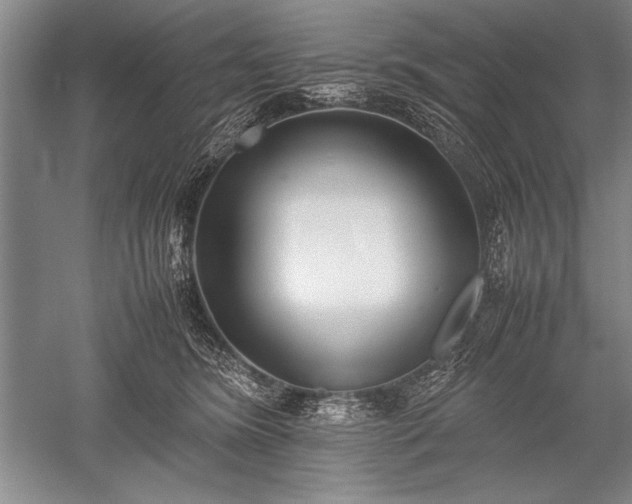 X0000052580420200507081733