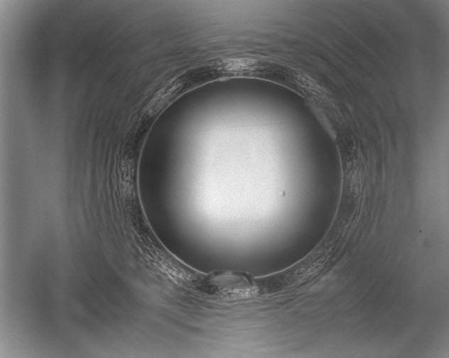 X0000052580421200507081733