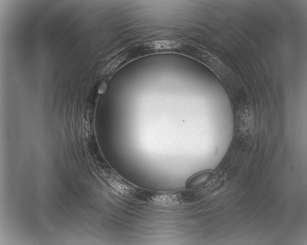 X0000052580422200507081733