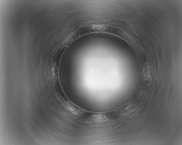 X0000052580424200507081733