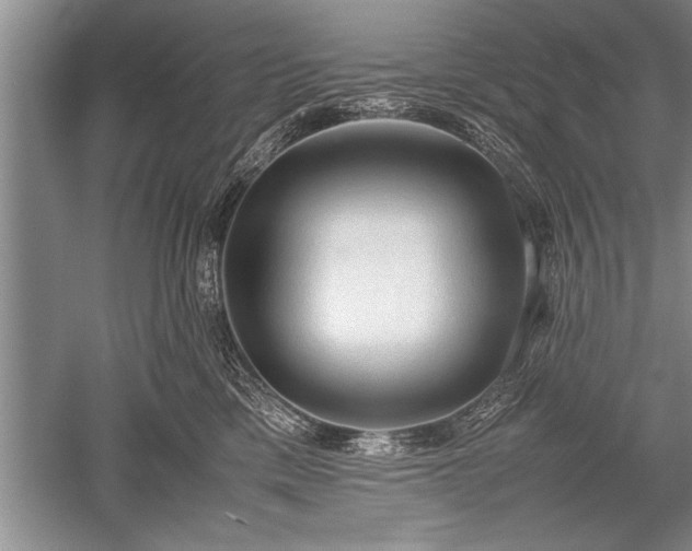 X0000052580425200507081733