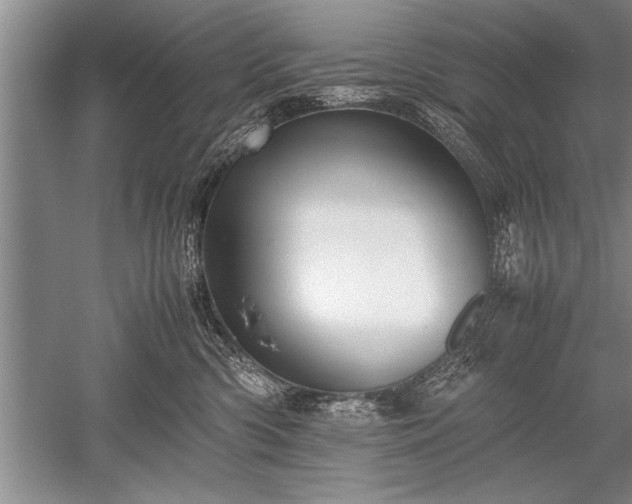 X0000052580426200507081733