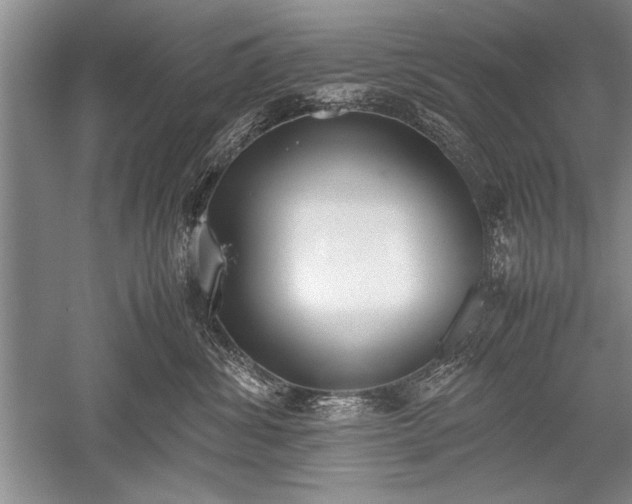 X0000052580428200507081733
