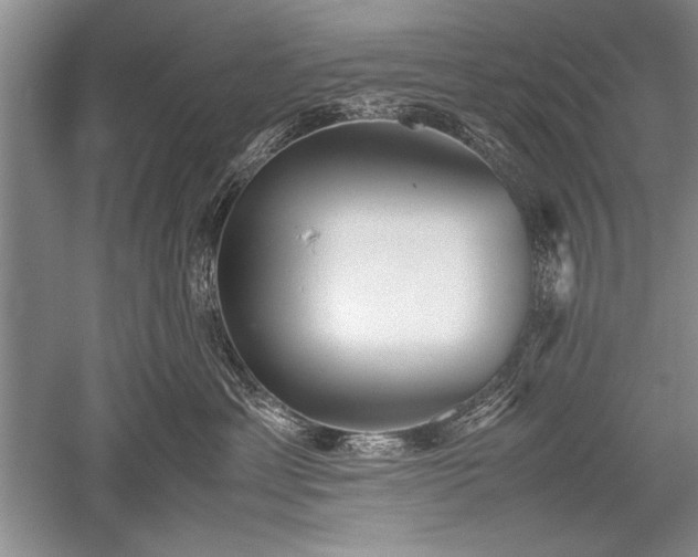 X0000052580429200507081733