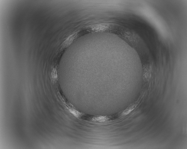 X0000052580431200507081733