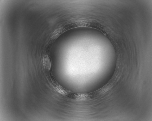 X0000052580432200507081733